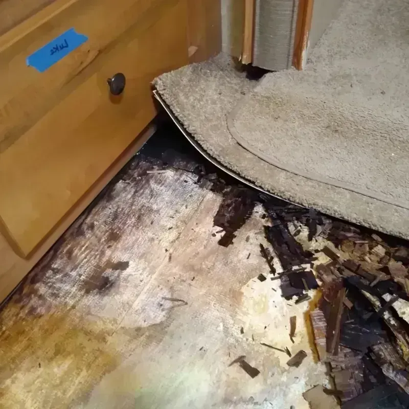 Wood Floor Water Damage in Davis Junction, IL